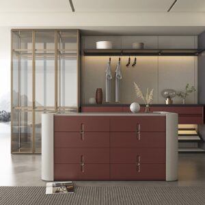 LIVING-Auraro Ⅱ خزانة الملابس LIVING-Auraro Ⅱ