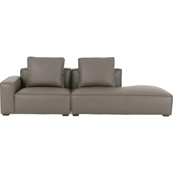 أريكة جلدية بمقعدين ومسند للذراعين (لون كاكي رماد)