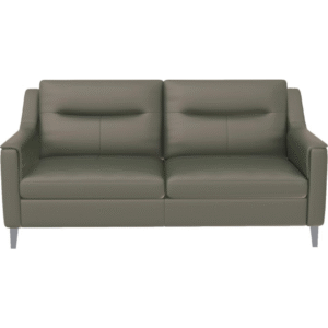 أريكة جلدية ذات مقعدين (زيتوني)