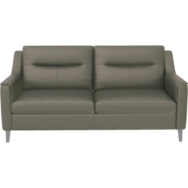 أريكة جلدية ذات مقعدين (زيتوني)