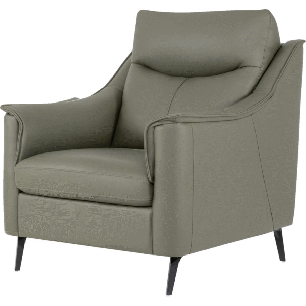 أريكة جلدية بمقعد واحد (زيتوني)