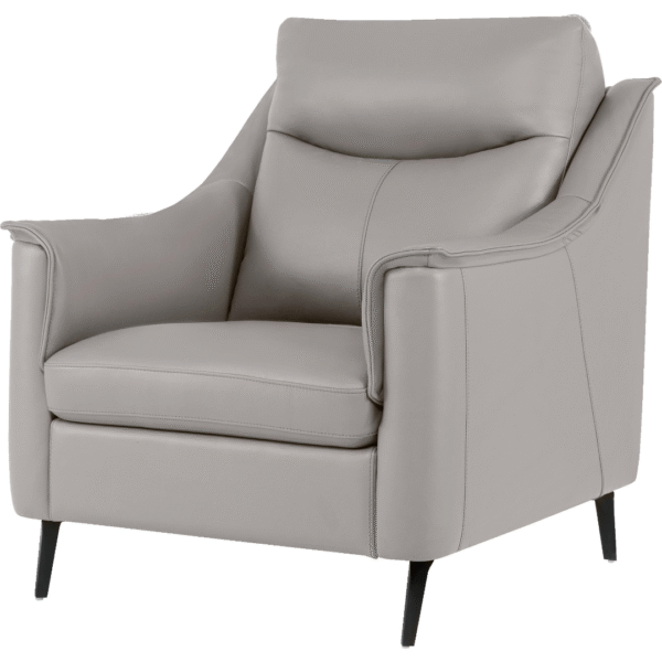 أريكة جلدية بمقعد واحد (لون ظل القمر الرماد)