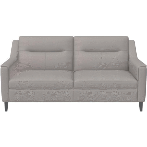 أريكة جلدية ذات مقعدين (لون ظل القمر الرماد)