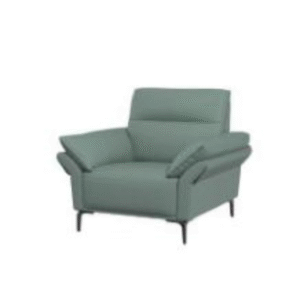 أريكة جلدية بمقعد واحد (لون أخضر كاميليا)