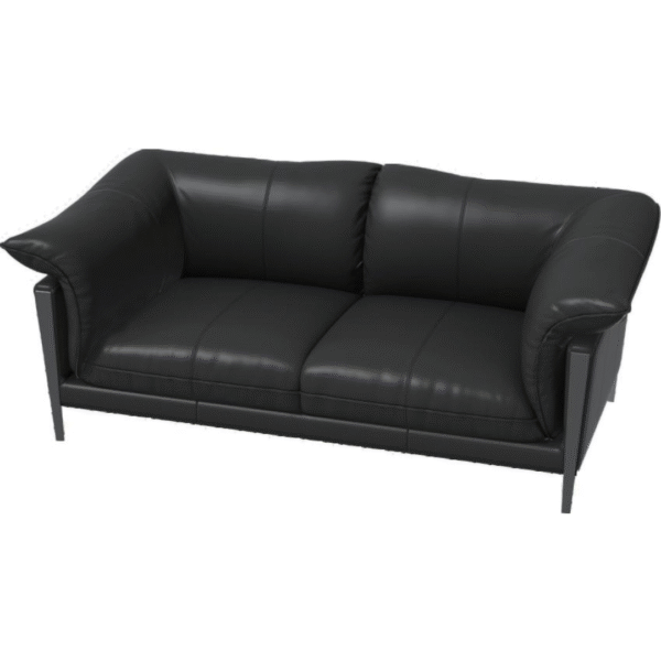 أريكة جلدية ذات مقعدين (أسود أوبسيديان)